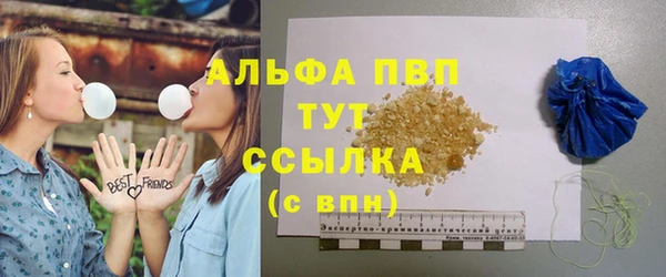 индика Абдулино
