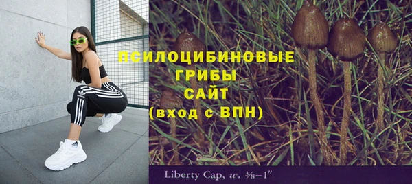 индика Абдулино