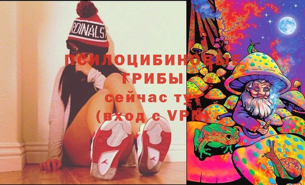 индика Абдулино