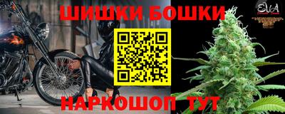 крисы Малгобек