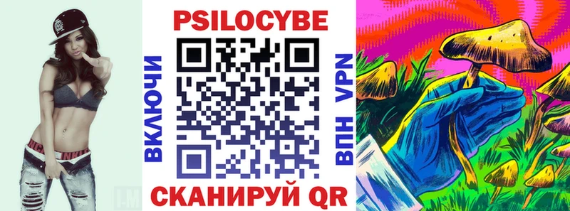 купить   Богородицк  Галлюциногенные грибы Psilocybe 