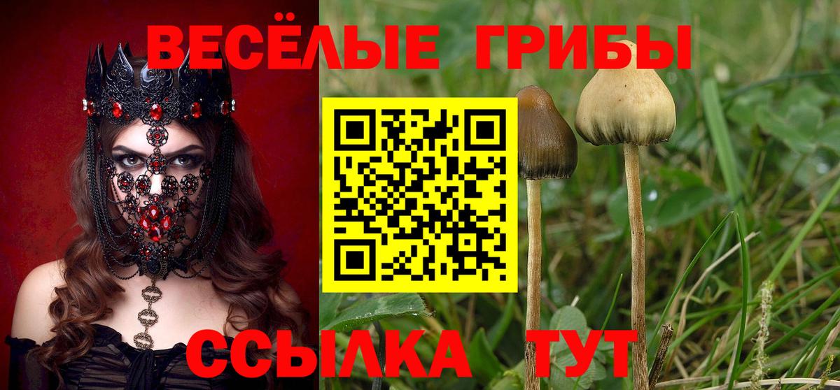 Псилоцибиновые грибы MAGIC MUSHROOMS  Псилоцибиновые грибы Psilocybe  Вход с VPN  Богородицк 