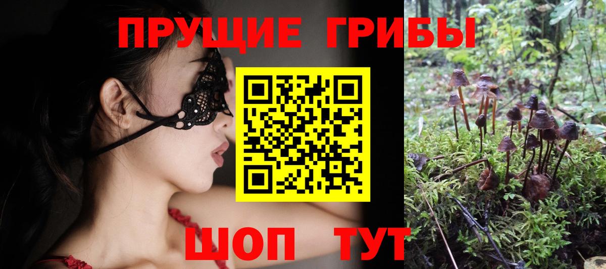 Галлюциногенные грибы Cubensis Богородицк